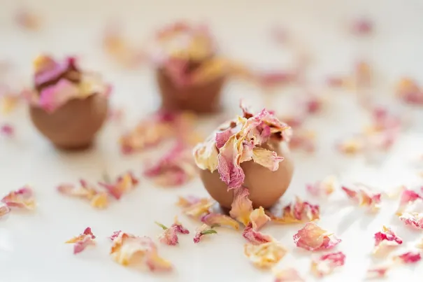 كازينو بيلا فيغاس تطبيق أندرويد/آي أو إس